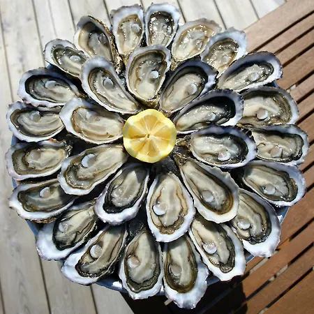 Petit De L'ermitage 居让梅斯特拉