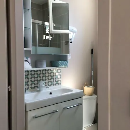 Petit De L'ermitage 公寓 居让梅斯特拉