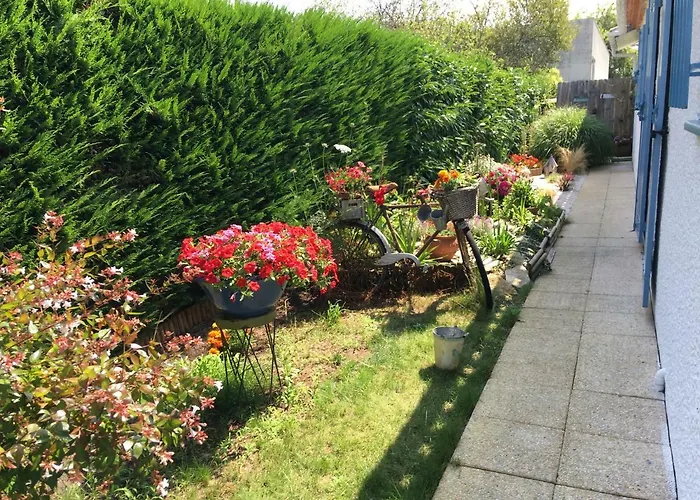 Petit De L'ermitage Gujan-Mestras