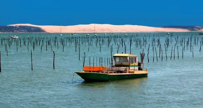 Apartmán Petit De L'ermitage Gujan-Mestras