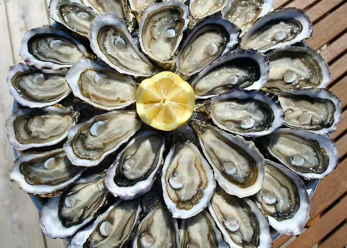 Petit De L'ermitage Gujan-Mestras