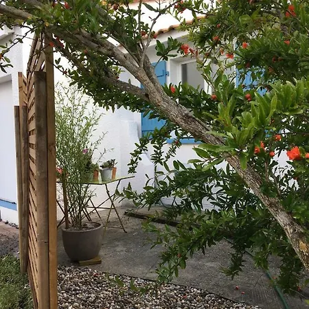 Petit De L'ermitage Apartman *