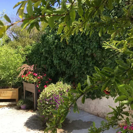 Apartment Petit De L'ermitage Gujan-Mestras